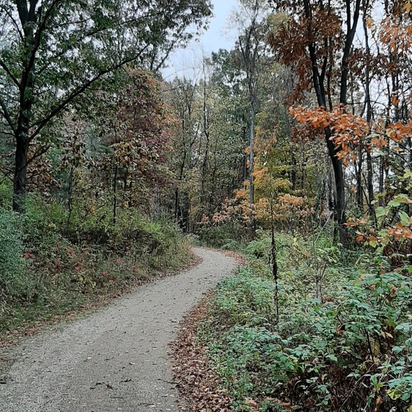 Meet your Posher, Posh - Picture 1 of 1